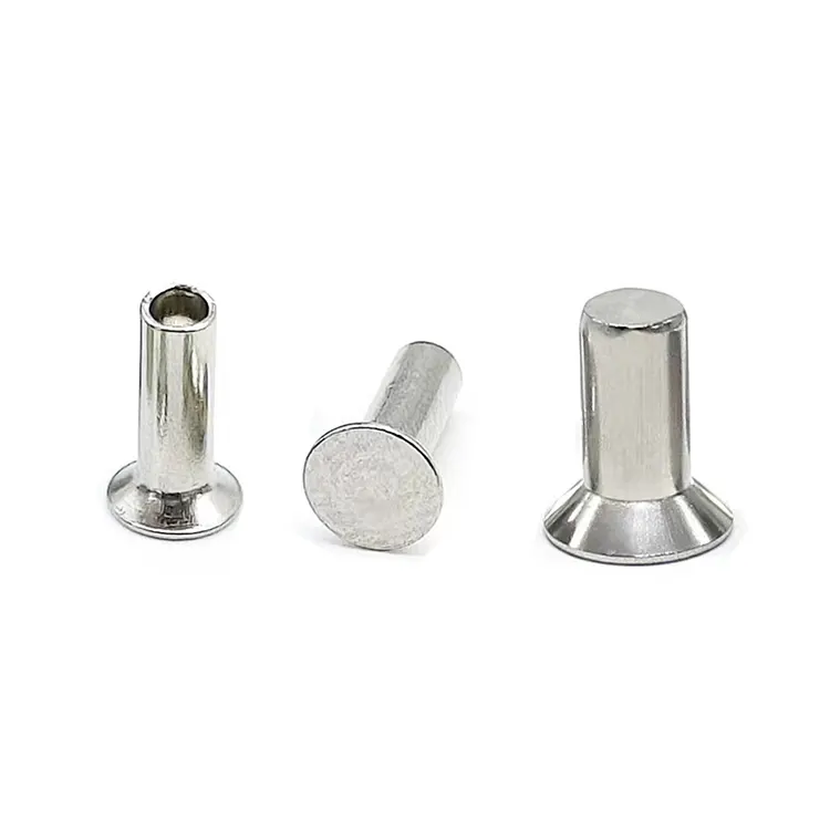 Rivetti a testa svasata in acciaio inossidabile